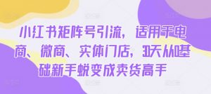 小红书矩阵号引流,适用于电商、微商、实体门店,30天从0基础新手蜕变成卖货高手-风淘社
