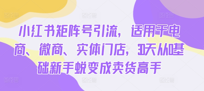 小红书矩阵号引流,适用于电商、微商、实体门店,30天从0基础新手蜕变成卖货高手-风淘社