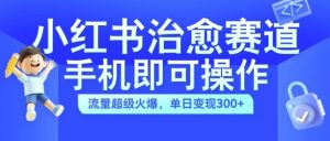 小红书治愈视频赛道，手机即可操作，流量超级火爆，单日变现300+【揭秘】-风淘社