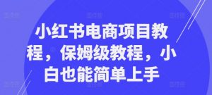 小红书电商项目教程,保姆级教程,小白也能简单上手-风淘社