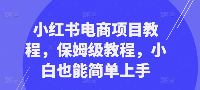 小红书电商项目教程,保姆级教程,小白也能简单上手-风淘社