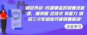 销冠养成-软硬兼备的销售技能课，懂策略 会技术 有能力 销冠三火轮助你突破销售瓶颈!-风淘社