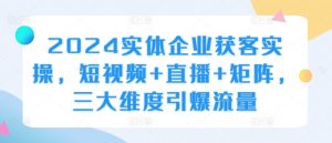 2024实体企业获客实操,短视频+直播+矩阵,三大维度引爆流量-风淘社