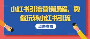 小红书引流营销课程,教你玩转小红书引流-风淘社