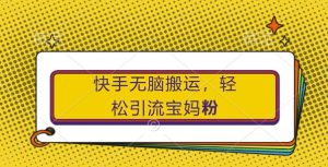 快手无脑搬运,轻松引流宝妈粉,纯小白轻松上手【揭秘】-风淘社