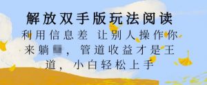解放双手版玩法阅读，利用信息差让别人操作你来躺Z，管道收益才是王道，小白轻松上手【揭秘】-风淘社