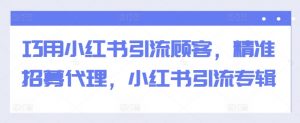 巧用小红书引流顾客，精准招募代理，小红书引流专辑-风淘社