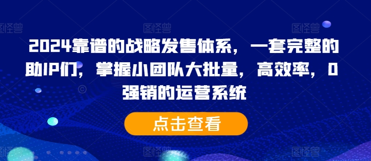 2024靠谱的战略发售体系,一套完整的助IP们,掌握小团队大批量,高效率,0 强销的运营系统-风淘社