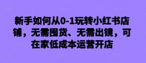 新手如何从0-1玩转小红书店铺,无需囤货、无需出镜,可在家低成本运营开店-风淘社