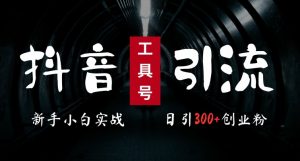 2024最新抖音工具号引流玩法,高效日引300+创业粉,当天变现5k,小白也可成为实战高手-风淘社