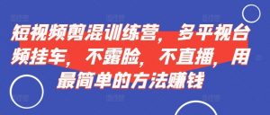 短视频剪混训练营,多平视台频挂车,不露脸,不直播,用最简单的方法赚钱-风淘社