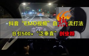 抖音EMO视频自热打法，日引500+“泛垂直”创业粉-风淘社