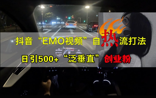 抖音EMO视频自热打法，日引500+“泛垂直”创业粉-风淘社