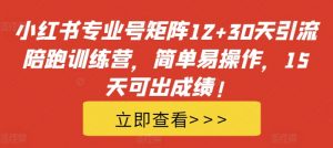 小红书专业号矩阵12+30天引流陪跑训练营，简单易操作，15天可出成绩!-风淘社