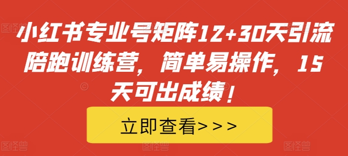 小红书专业号矩阵12+30天引流陪跑训练营，简单易操作，15天可出成绩!-风淘社