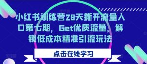 小红书训练营28天撕开流量入口第七期,Get优质流量,解锁低成本精准引流玩法-风淘社