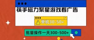 筷手磁力聚星4.0实操玩法,单机30-50+可批量放大【揭秘】-风淘社