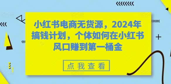 小红书电商无货源,2024年搞钱计划,个体如何在小红书风口赚到第一桶金-风淘社