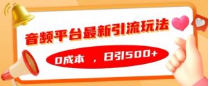 音频平台最新引流玩法,0成本,日引500+【揭秘】-风淘社