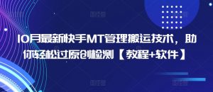 10月最新快手MT管理搬运技术,助你轻松过原创检测【教程+软件】-风淘社