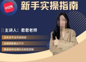 君君-小红书电商从入门到精通，新手实操指南-风淘社