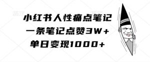 小红书人性痛点笔记,一条笔记点赞3W+,单日变现1k-风淘社