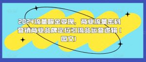 2024流量吸金变现，商业流量密码营销商业品牌定位引流品运营逻辑(图文)-风淘社