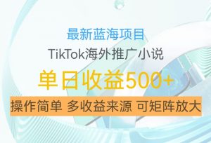 最新蓝海项目,利用tiktok海外推广小说赚钱佣金,简单易学,日入500+,可矩阵放大【揭秘】-风淘社