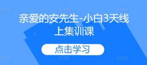 亲爱的安先生-小白3天线上集训课-风淘社