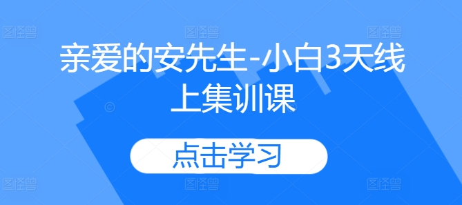 亲爱的安先生-小白3天线上集训课-风淘社