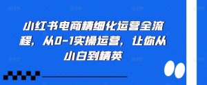 小红书电商精细化运营全流程,从0-1实操运营,让你从小白到精英-风淘社