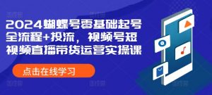 2024蝴蝶号零基础起号全流程+投流，视频号短视频直播带货运营实操课-风淘社