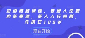 短剧陪跑课程，普通人逆袭的新赛道，新人入行短剧，先搞它100W-风淘社