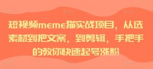 短视频meme猫实战项目,从选素材到把文案,到剪辑,手把手的教你快速起号涨粉-风淘社