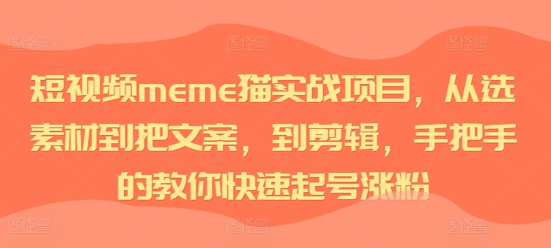 短视频meme猫实战项目，从选素材到把文案，到剪辑，手把手的教你快速起号涨粉-风淘社