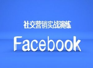 Facebook社交营销实战演练,外贸人绝对不能错过的营销推广平台-风淘社