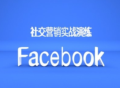 Facebook社交营销实战演练,外贸人绝对不能错过的营销推广平台-风淘社