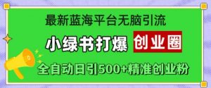 最新蓝海平台无脑引流,小绿书打爆创业圈,全自动日引500+精准创业粉-风淘社