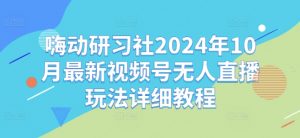 嗨动研习社2024年10月最新视频号无人直播玩法详细教程-风淘社