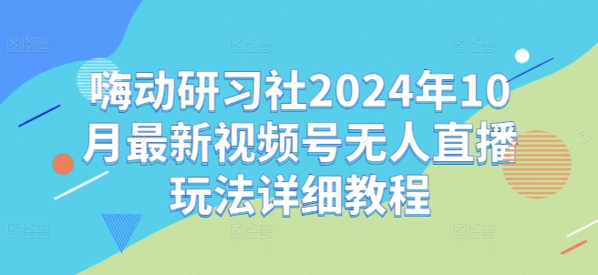 嗨动研习社2024年10月最新视频号无人直播玩法详细教程-风淘社