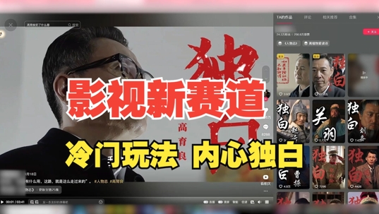 最新影视解说玩法，人物独白，30天涨粉24万+，全流程拆解【揭秘】-风淘社