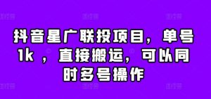 抖音星广联投项目，单号1k ，直接搬运，可以同时多号操作【揭秘】-风淘社