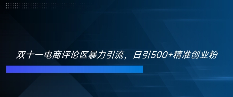 双十一电商评论区暴力引流，日引500+精准创业粉【揭秘】-风淘社