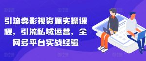 引流卖影视资源实操课程,引流私域运营,全网多平台实战经验-风淘社