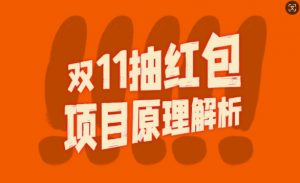 双11抽红包视频裂变项目【完整制作攻略】_长期的暴利打法-风淘社