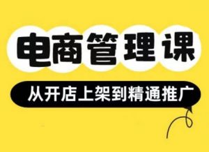 小红书&闲鱼开店从开店上架到精通推广,电商管理课-风淘社