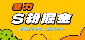 单人单机日引千粉，变现1k+，S粉流量掘金计划攻略【揭秘】-风淘社