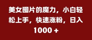 美女图片的魔力,小白轻松上手,快速涨粉,日入几张【揭秘】-风淘社