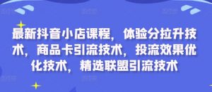 最新抖音小店课程，体验分拉升技术，商品卡引流技术，投流效果优化技术，精选联盟引流技术-风淘社