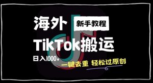 2024最新海外TikTok搬运玩法，一键去重轻松过原创，新手无经验也能日入1k【揭秘】-风淘社